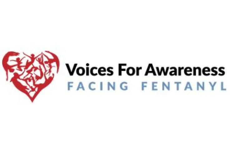 Voices for Awareness Logo